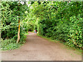 Path in Irchester Country Park