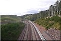NT3959 : Borders Railway by Richard Webb