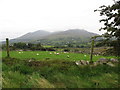 J1215 : Sheep grazings on the east side of the Omeath road by Eric Jones