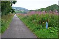 Caledonian Canal towpath, Inverness