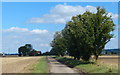 Ox Pasture Lane towards Luddington