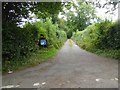 Ridgewood Lane leading uphill from Ridgewood Cross