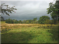 Rough grassland by Mill Beck