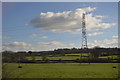 Pylon, Berkley Marsh