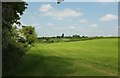 Edge of field near Todber