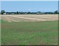 Fields to the north of Rodwell Lane