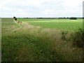 Farmland beside Snowswick Lane