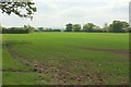 Arable field near Todber