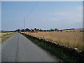 Harvest time at North Powrie