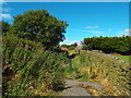 Path near Rye Lane, Halifax