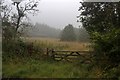 NZ1796 : Foggy morning at Burgham by Alan Reid