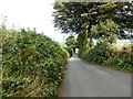 The minor road from Halwell to Moreleigh, near Stanborough House