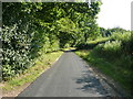 Lane at the end of the path through Graffridge Wood, Knebworth