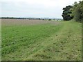 Farmland at Great Coxwell