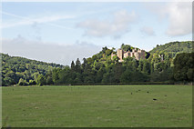 SS9943 : A first view of Dunster Castle from the A39 by Peter Turner