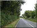 Road at the south end of Luppitt Common