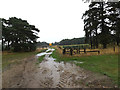 Track off the A1088 Thetford Road