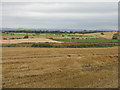 NT0377 : Harvest landscape, West Lothian by M J Richardson
