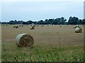 TL4964 : Rolls of straw near Waterbeach by Richard Humphrey