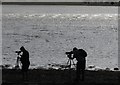 SX9687 : Birdwatchers at Riversmeet by Derek Harper