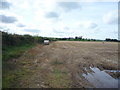 Stubble field and hedgerow near Parkgate