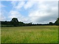 The Two Acre Mead/Three Acre Mead/Lower Three Acres