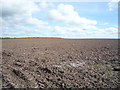NY1746 : Field near Bromfield by JThomas