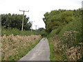 Lane and footpath near Thrupp