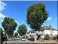 Carbery Avenue, Acton