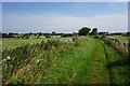 Bridleway towards Lower Lapdown Farm