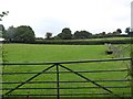 Field south of Canna Park