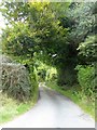 Access road to Easdon Farm