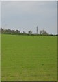 Farmland, Trevassak