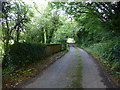 Bridge along Cavanacaw Road