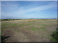 Stubble field near Beckfoot