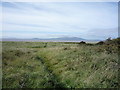 Path towards the beach, Beckfoot