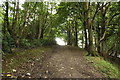 Path to Radio Mast on Wood Hill