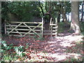 Stile and gate on public footpath, Bellasis, Durham