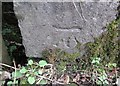 Ordnance Survey Cut Mark