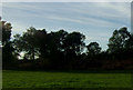 Grazing and woodland near Wellington Farm