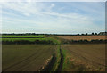 Farm track near New Mill