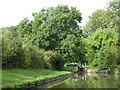 SP4912 : The Oxford Canal approaching Kidlington Green Lock by Vieve Forward