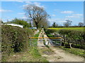 Track to Carlton Ferry Lane