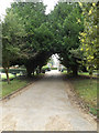 TM1180 : Entrance of Diss Cemetery by Geographer