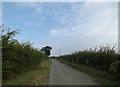 TM1384 : Long Lane, Mill Green by Geographer