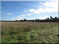 Field awaiting development, Felton