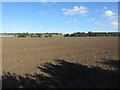 Cultivated arable field, Felton