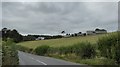 Great Tree Farm seen from A382