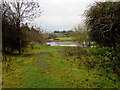 Track towards the River Severn, Caersws