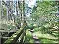 Coombe Heath, bridleway marker